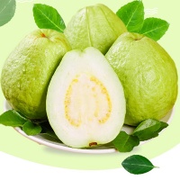Ổi lê ruột trắng thơm ngon an toàn